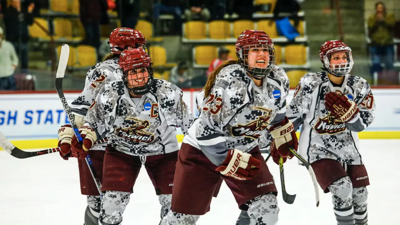 Norwich University ice hockey players celebrate goal.