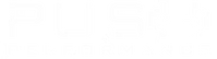 Push Performance logo.